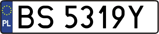 BS5319Y