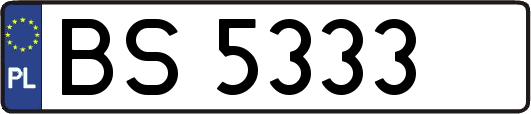BS5333