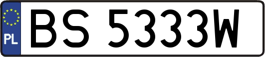 BS5333W