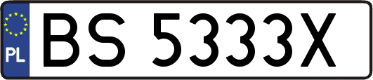 BS5333X
