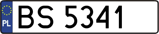 BS5341