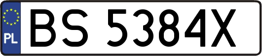 BS5384X