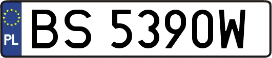 BS5390W