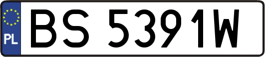 BS5391W