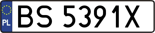 BS5391X