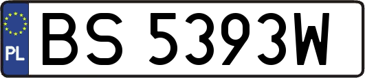 BS5393W