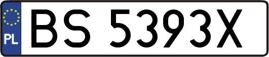 BS5393X