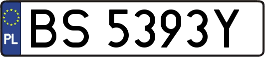 BS5393Y