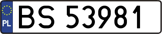 BS53981