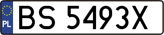 BS5493X