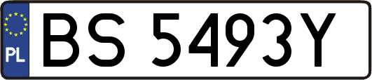 BS5493Y