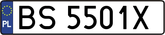 BS5501X
