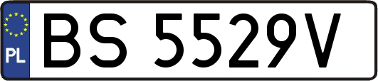 BS5529V