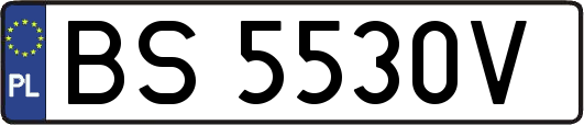 BS5530V