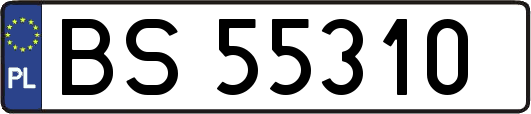 BS55310