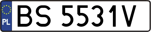 BS5531V