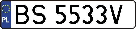 BS5533V