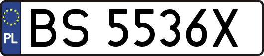 BS5536X