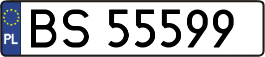 BS55599