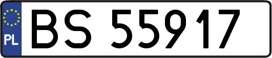 BS55917