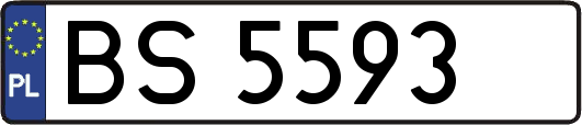BS5593