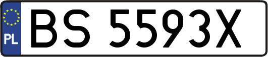 BS5593X