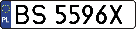 BS5596X
