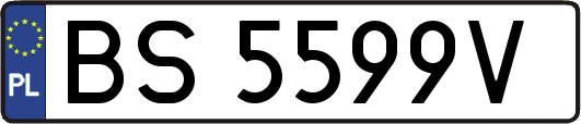 BS5599V