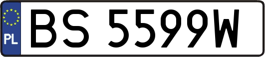 BS5599W