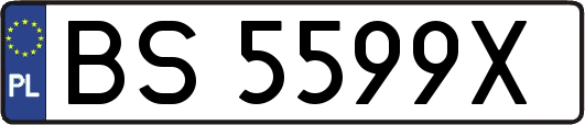 BS5599X