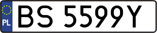 BS5599Y