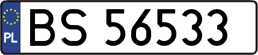 BS56533