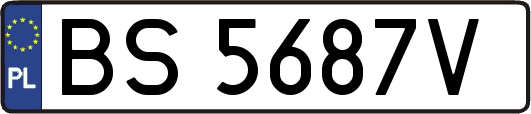 BS5687V