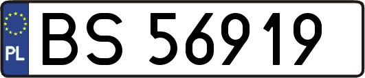 BS56919