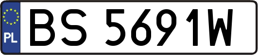 BS5691W