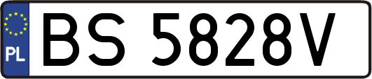 BS5828V