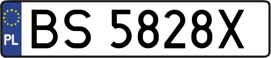 BS5828X