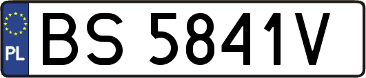 BS5841V