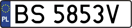 BS5853V