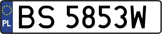 BS5853W