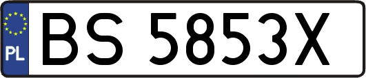 BS5853X