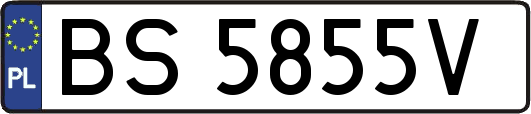 BS5855V