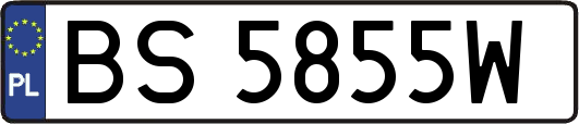 BS5855W