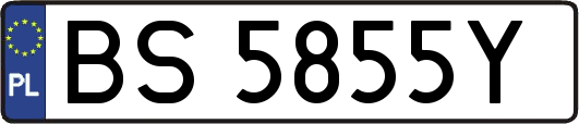 BS5855Y
