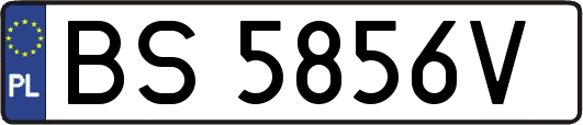 BS5856V