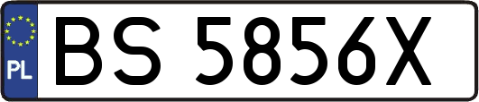 BS5856X