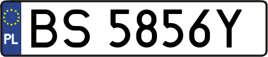 BS5856Y