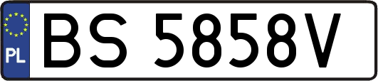 BS5858V