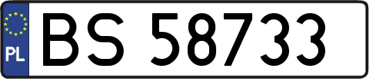 BS58733