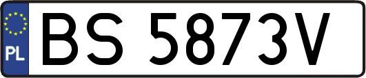 BS5873V